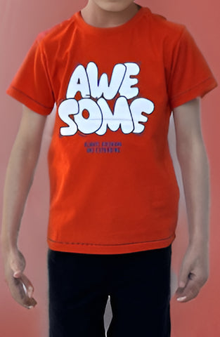 Awesome Dude Tee