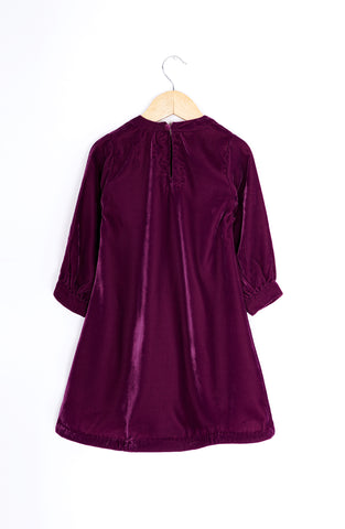 Maroon Frilled Velvet Dress