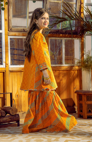 Sooraj Mukhi 2 Pc Suit