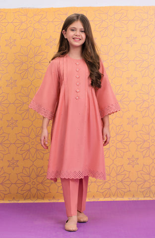 Rani 2 Pc Suit