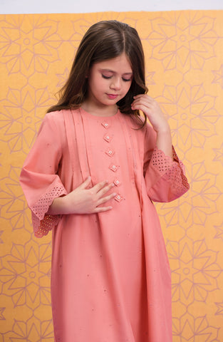 Rani 2 Pc Suit