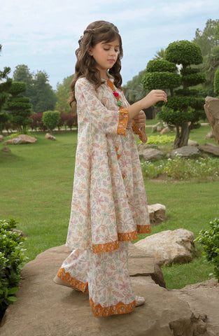 Rang Mahal 2 Pc Suit