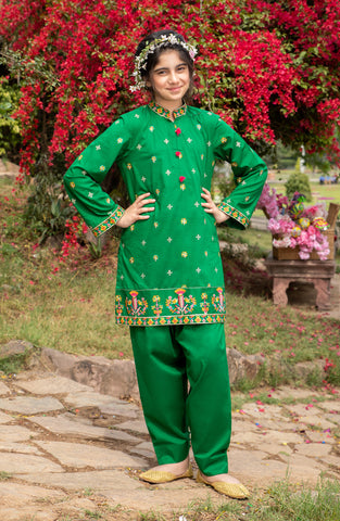 Harra 2 Pc Suit-Green