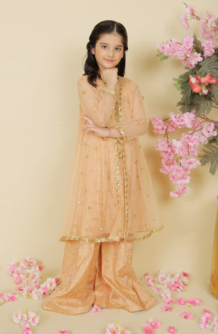 Rano 3 Pc Suit-Peach