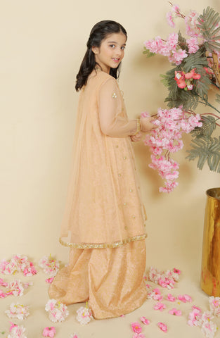 Rano 3 Pc Suit-Peach