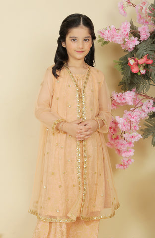 Rano 3 Pc Suit-Peach