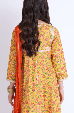 Gul Rang 3 Pcs Suit